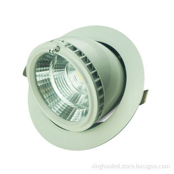 LED down-lights gimbal, 20W/AC 85-265V, 110mm cutout, 10W, day white color
